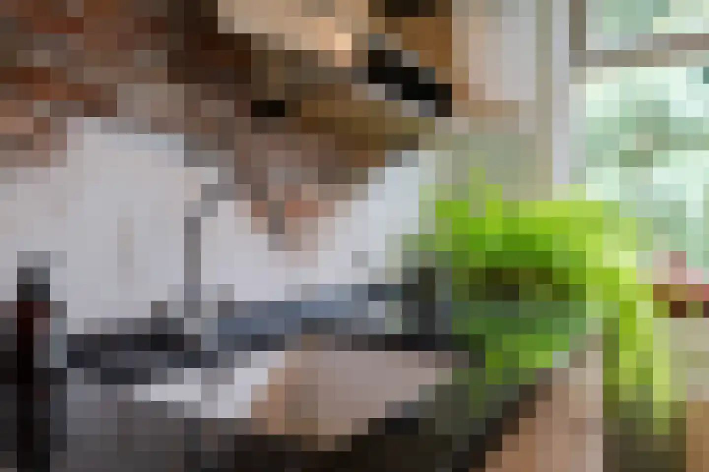 Oosteinde 33 Blijham thumbnail 18