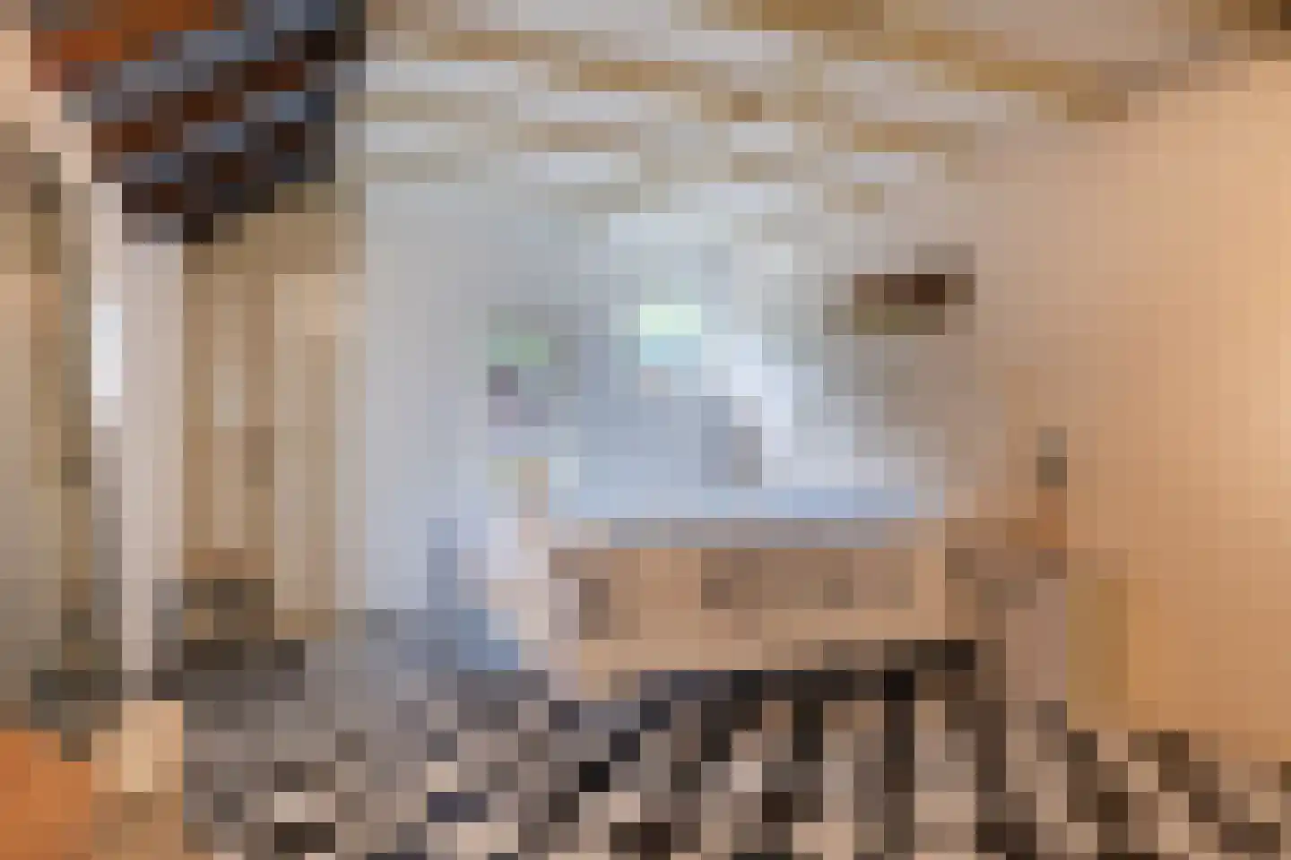 Oosteinde 33 Blijham thumbnail 19