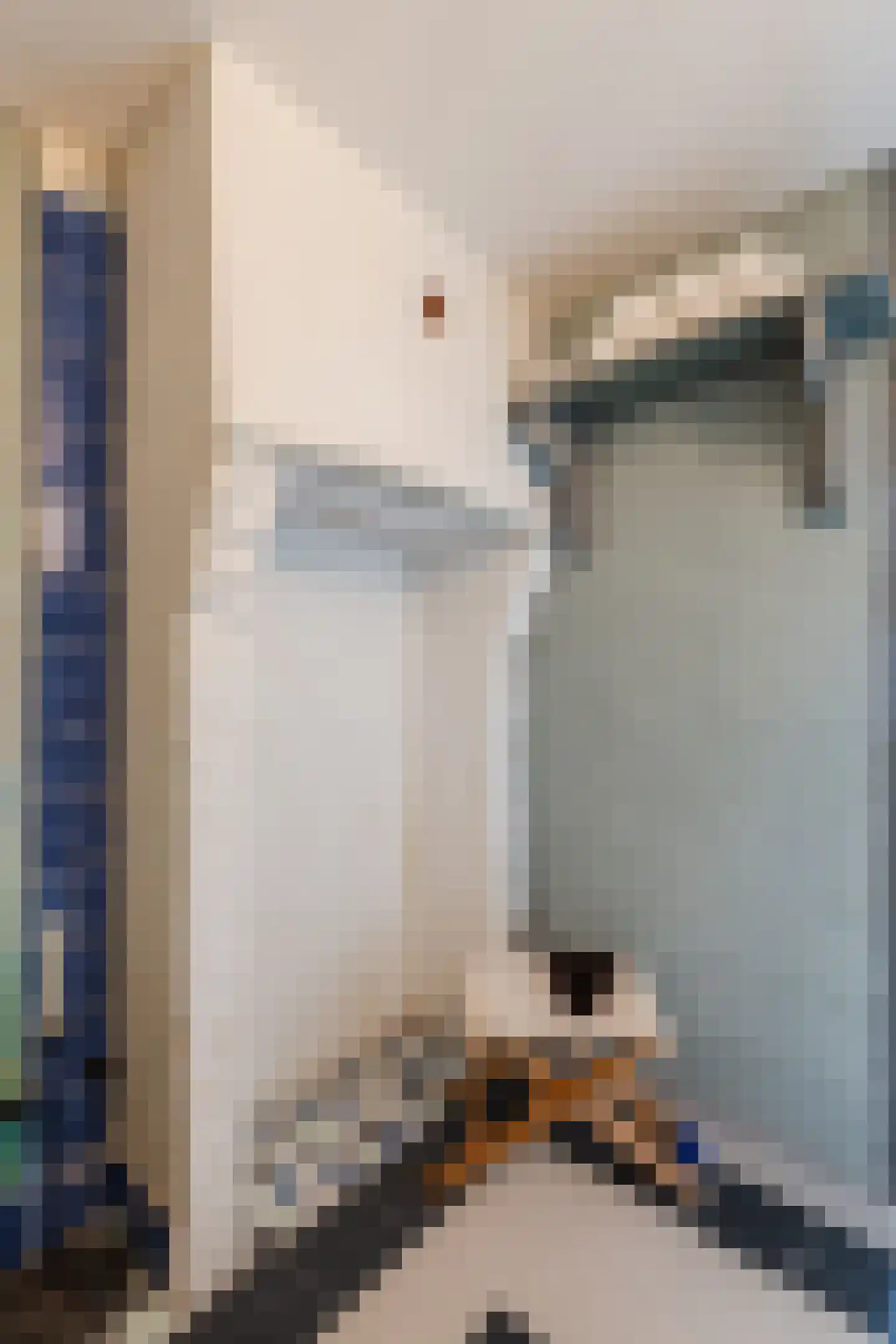 Oosteinde 33 Blijham thumbnail 41