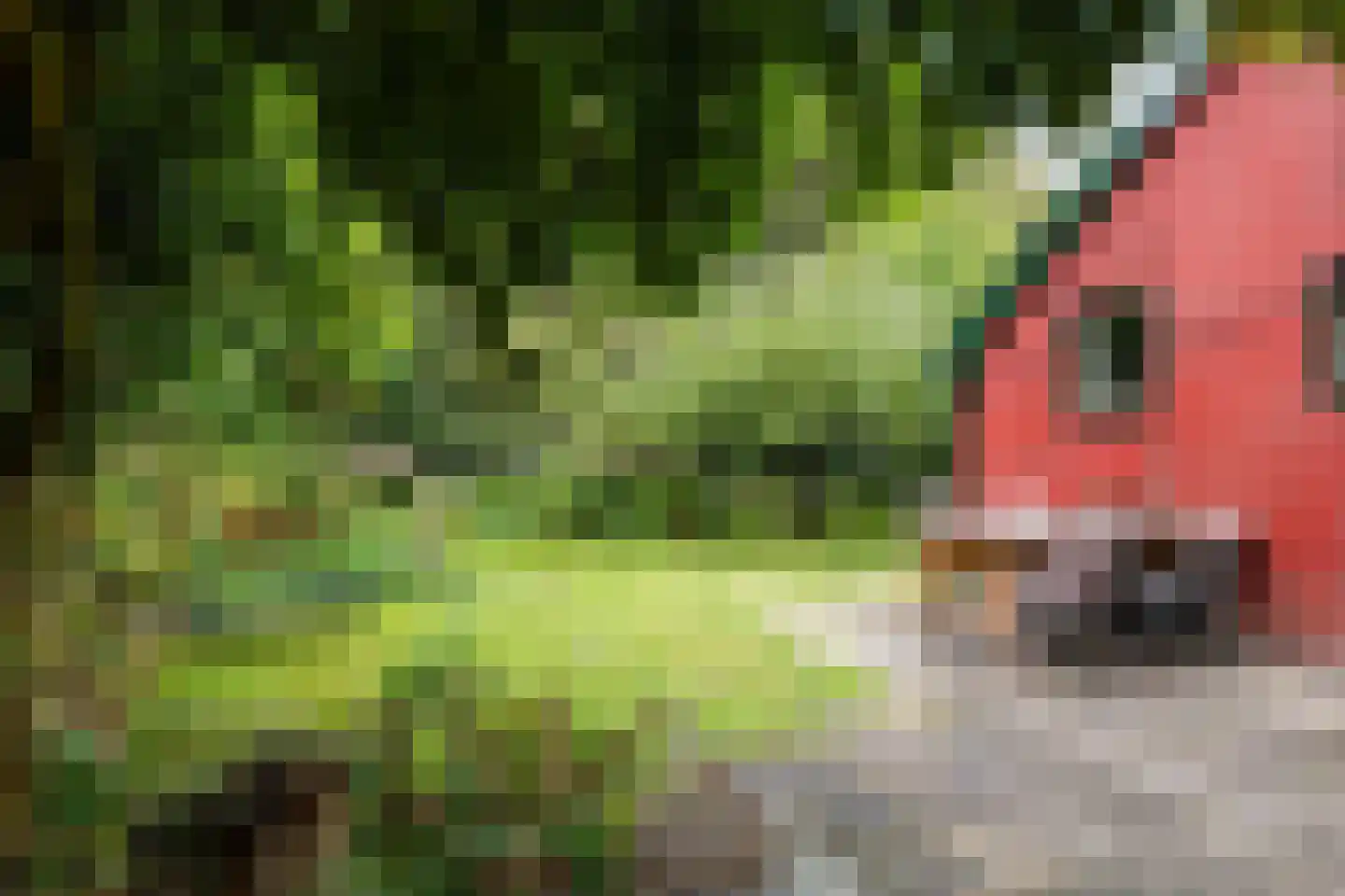Oosteinde 33 Blijham thumbnail 49