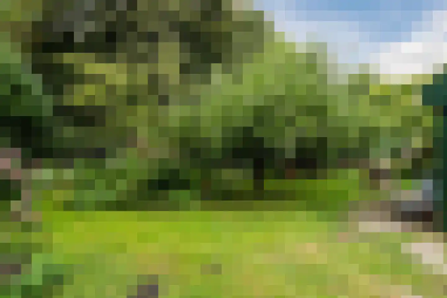 Oosteinde 33 Blijham thumbnail 50