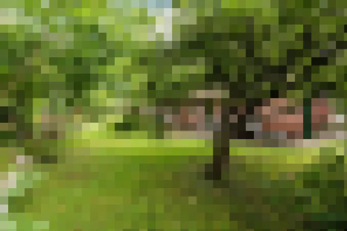 Oosteinde 33 Blijham thumbnail 51