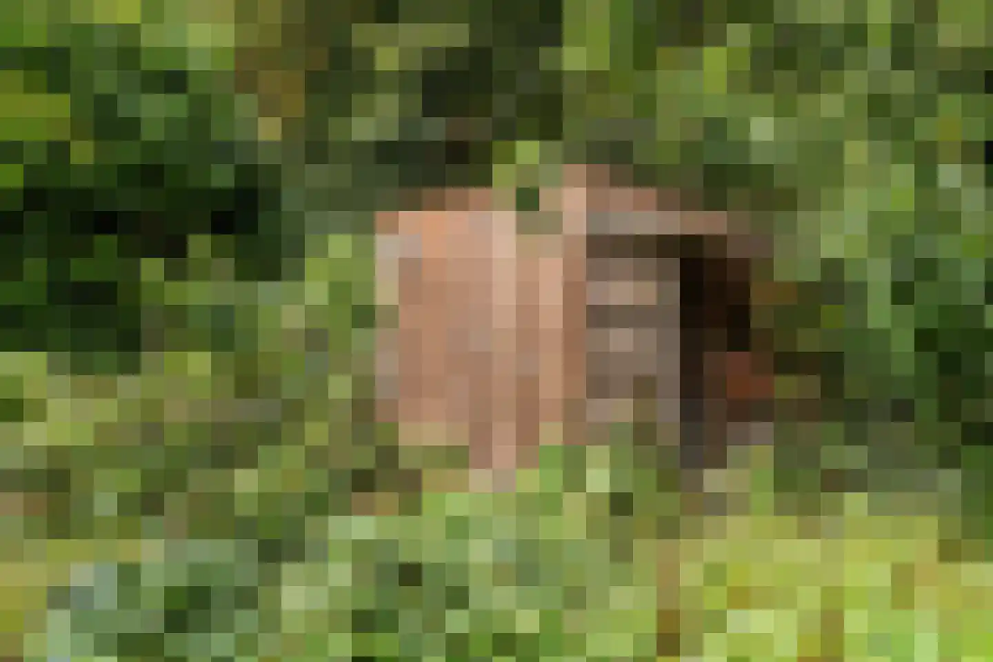 Oosteinde 33 Blijham thumbnail 52