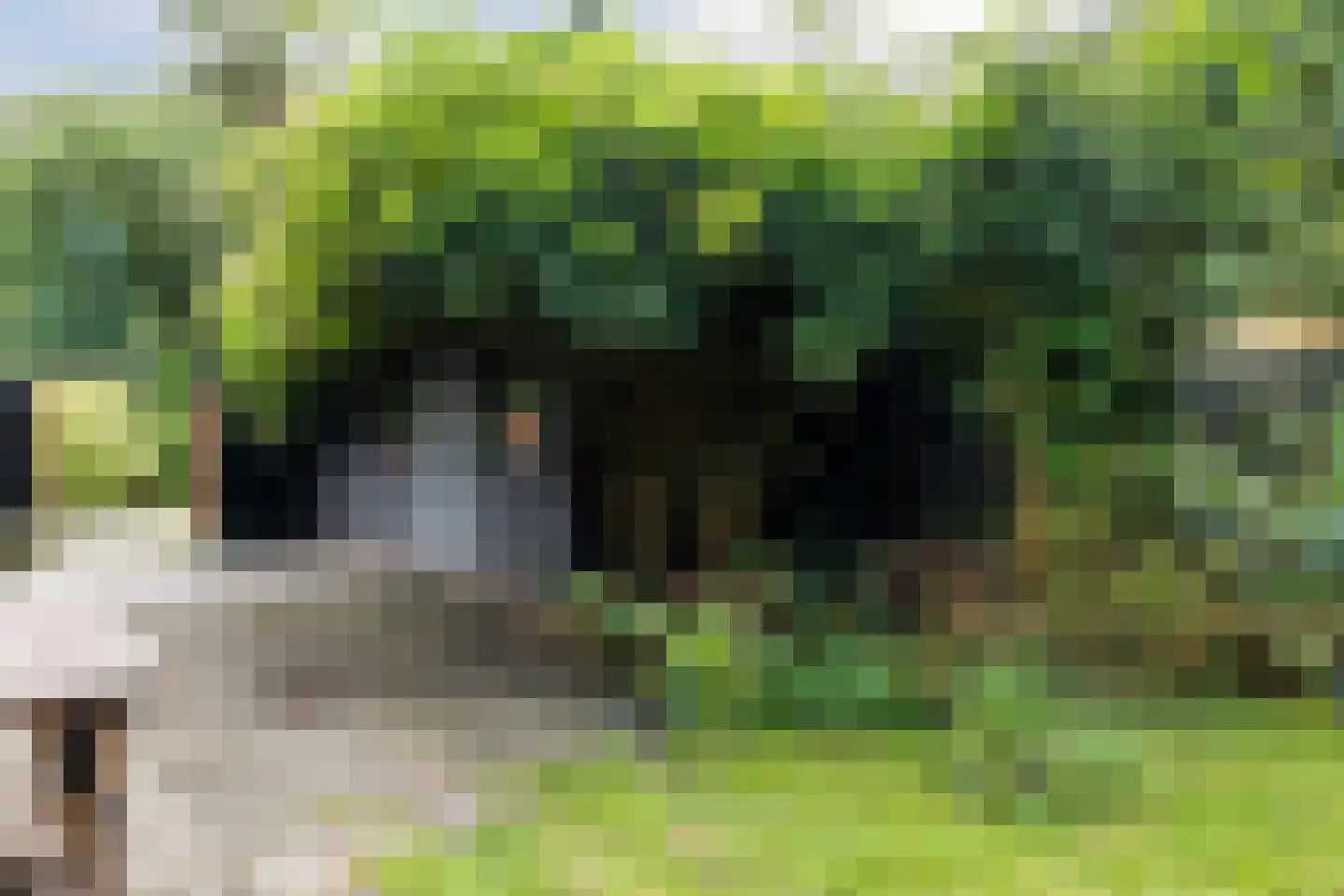 Oosteinde 33 Blijham thumbnail 59