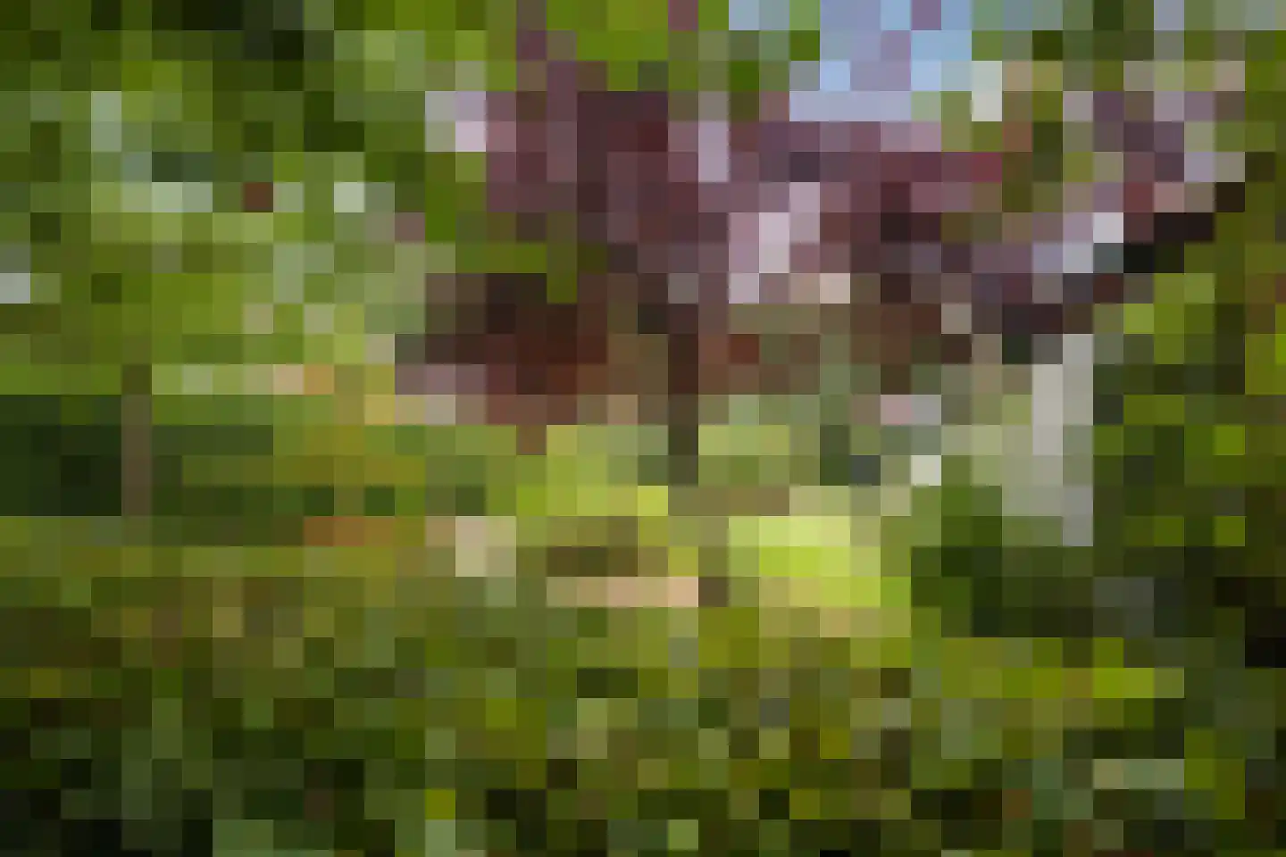 Oosteinde 33 Blijham thumbnail 63