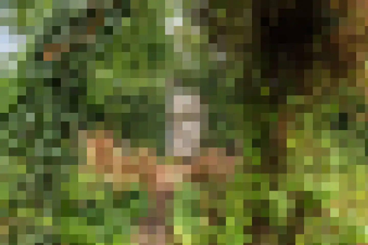 Oosteinde 33 Blijham thumbnail 64