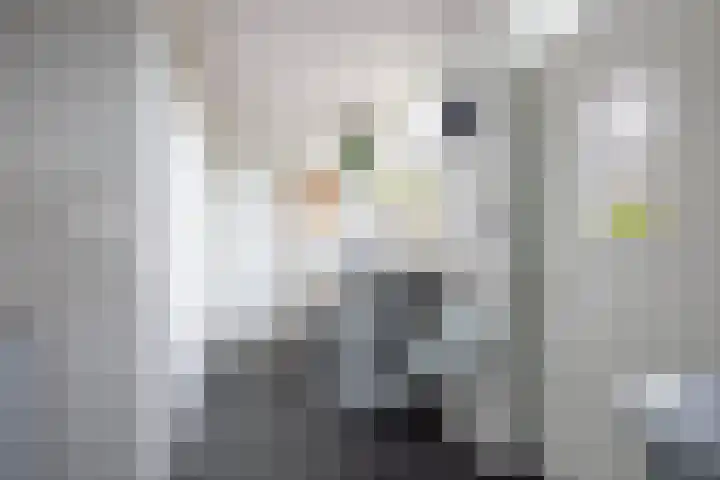 Oosteinde 33 St.-Jacobiparochie thumbnail 42