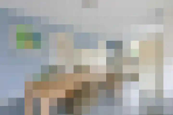 Oosteinde 35 5 Oostwoud thumbnail 12