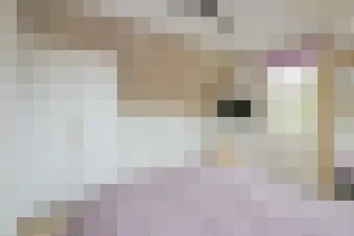 Oosteinde 35 5 Oostwoud thumbnail 20