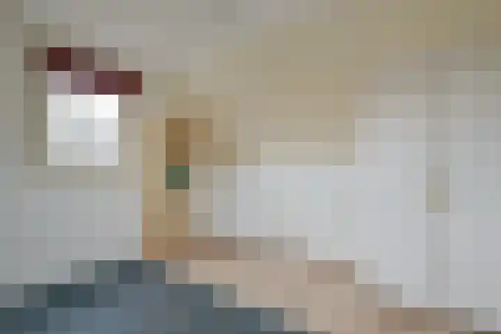 Oosteinde 35 5 Oostwoud thumbnail 23