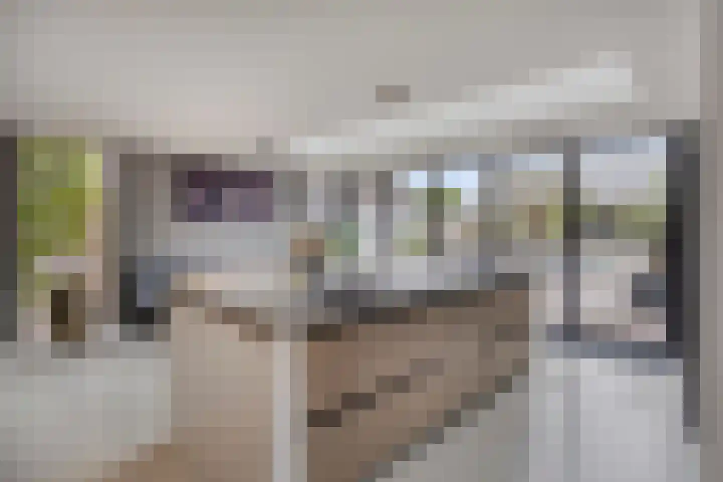 Oosteinde 35 Scherpenzeel thumbnail 13