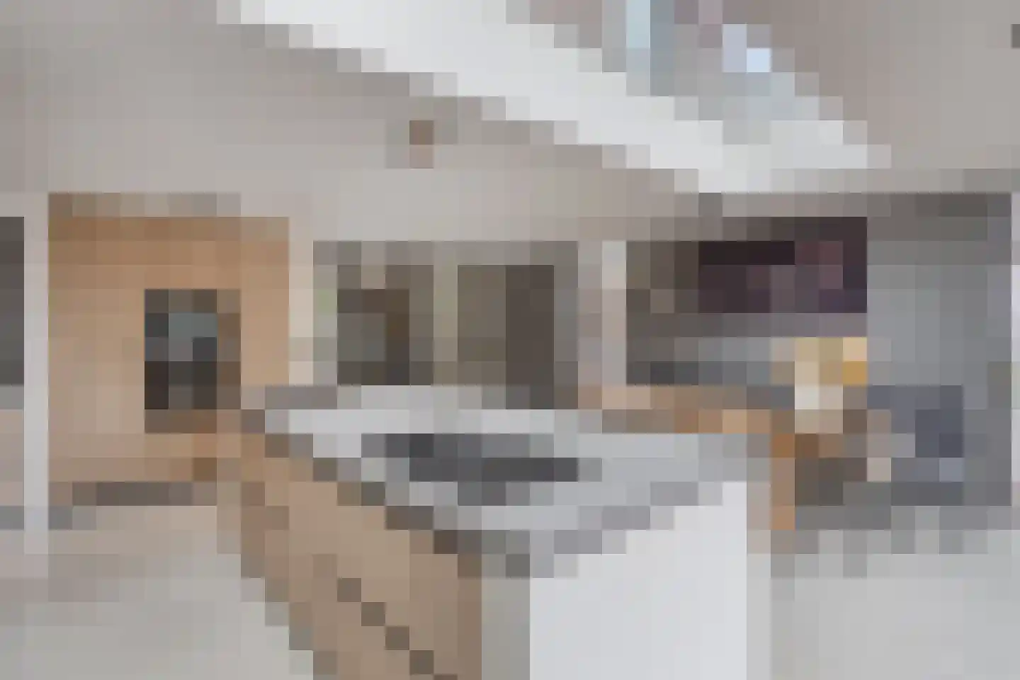 Oosteinde 35 Scherpenzeel thumbnail 14