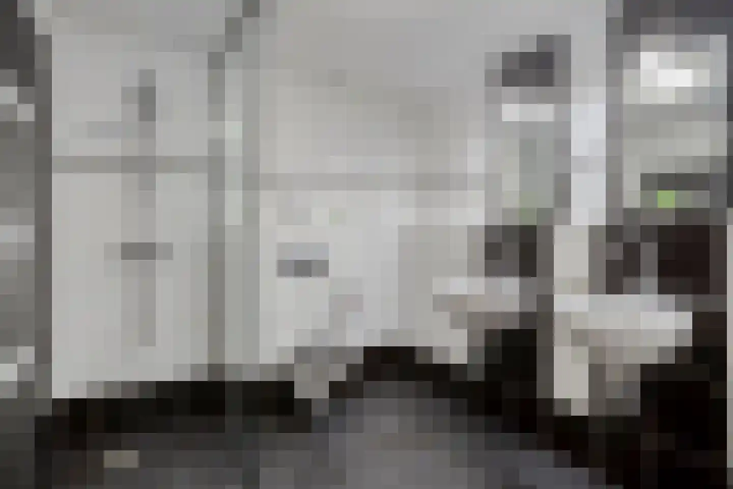 Oosteinde 35 Scherpenzeel thumbnail 22