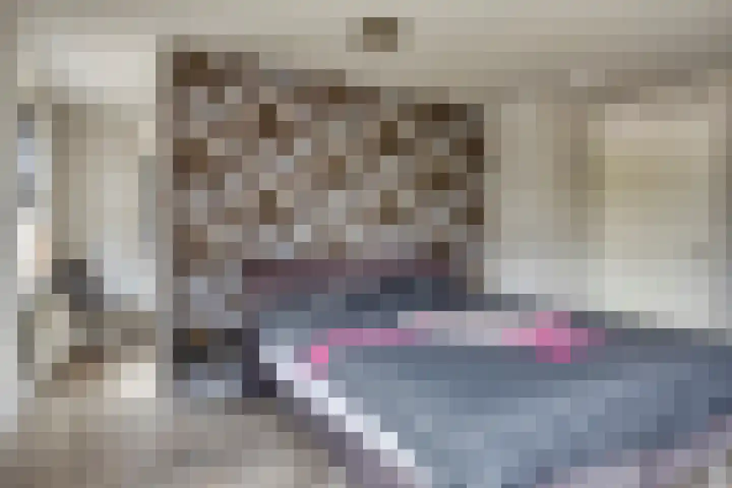Oosteinde 35 Scherpenzeel thumbnail 24