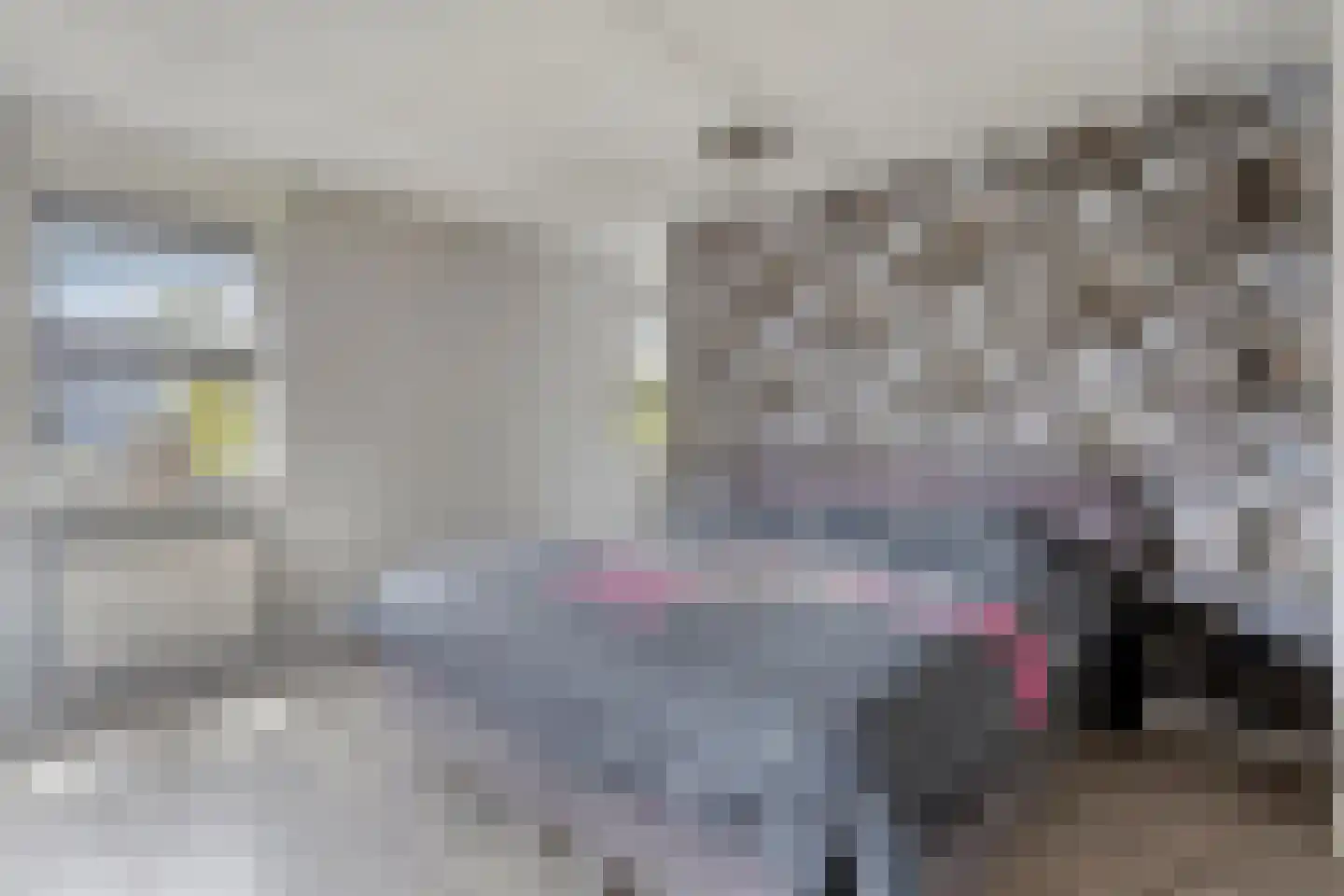 Oosteinde 35 Scherpenzeel thumbnail 25