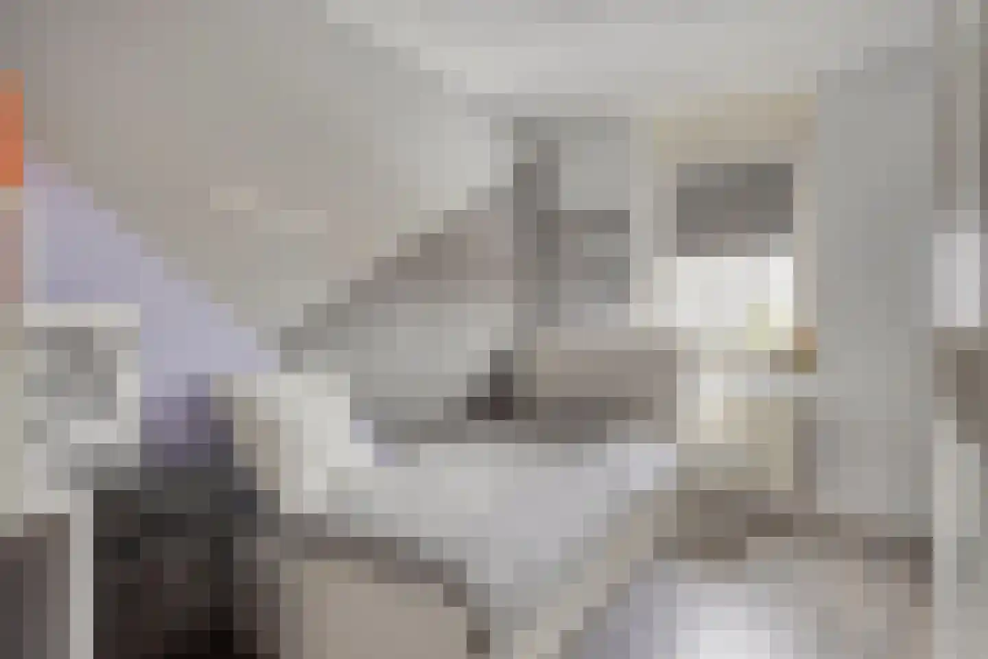 Oosteinde 35 Scherpenzeel thumbnail 29