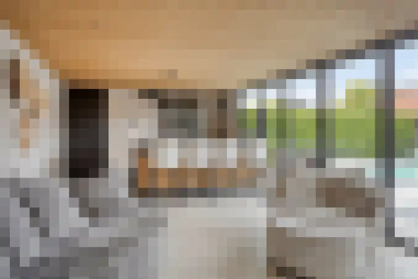 Oosteinde 35 Scherpenzeel foto 3