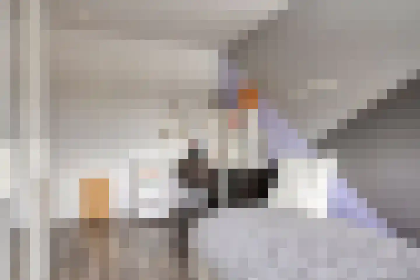 Oosteinde 35 Scherpenzeel thumbnail 30