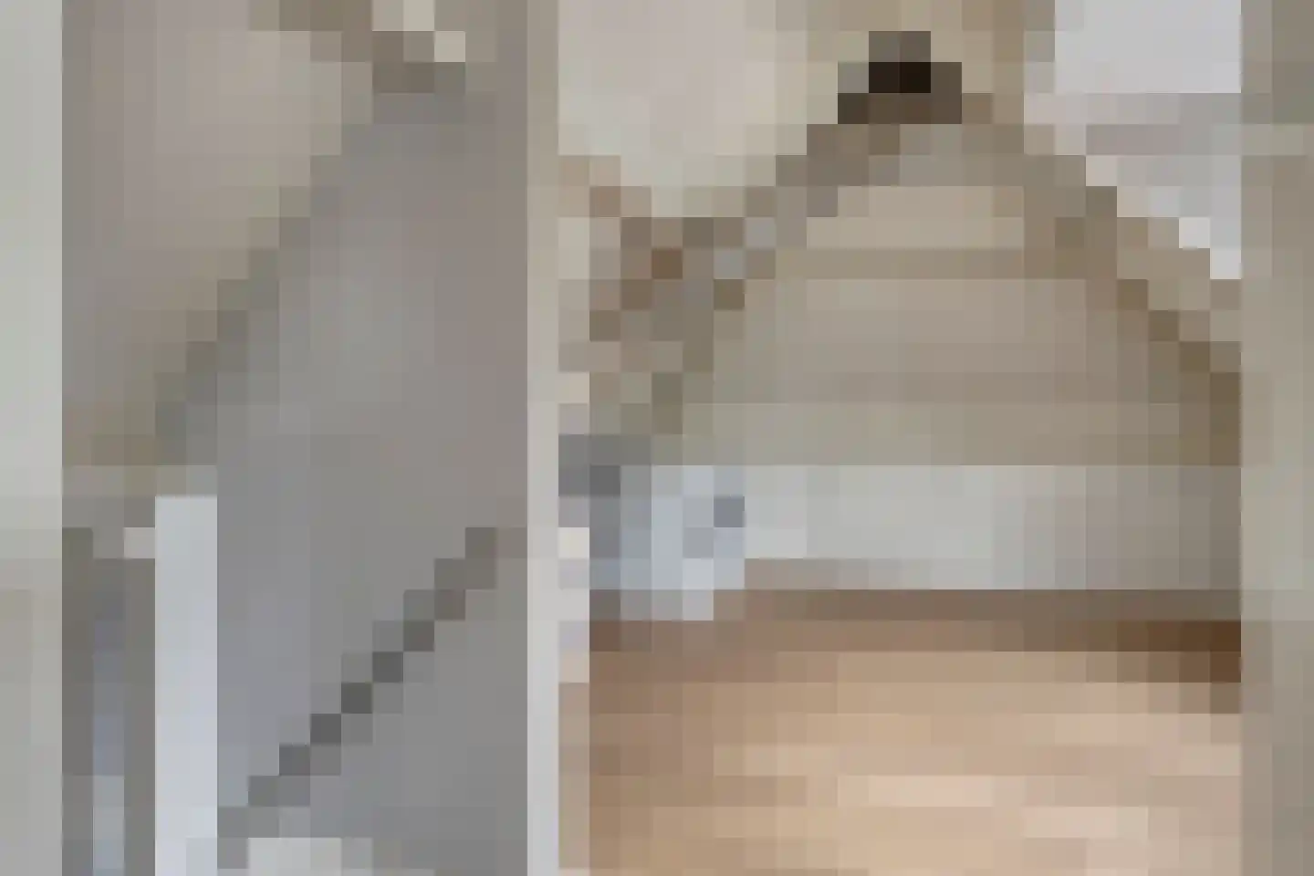 Oosteinde 35 Scherpenzeel thumbnail 32