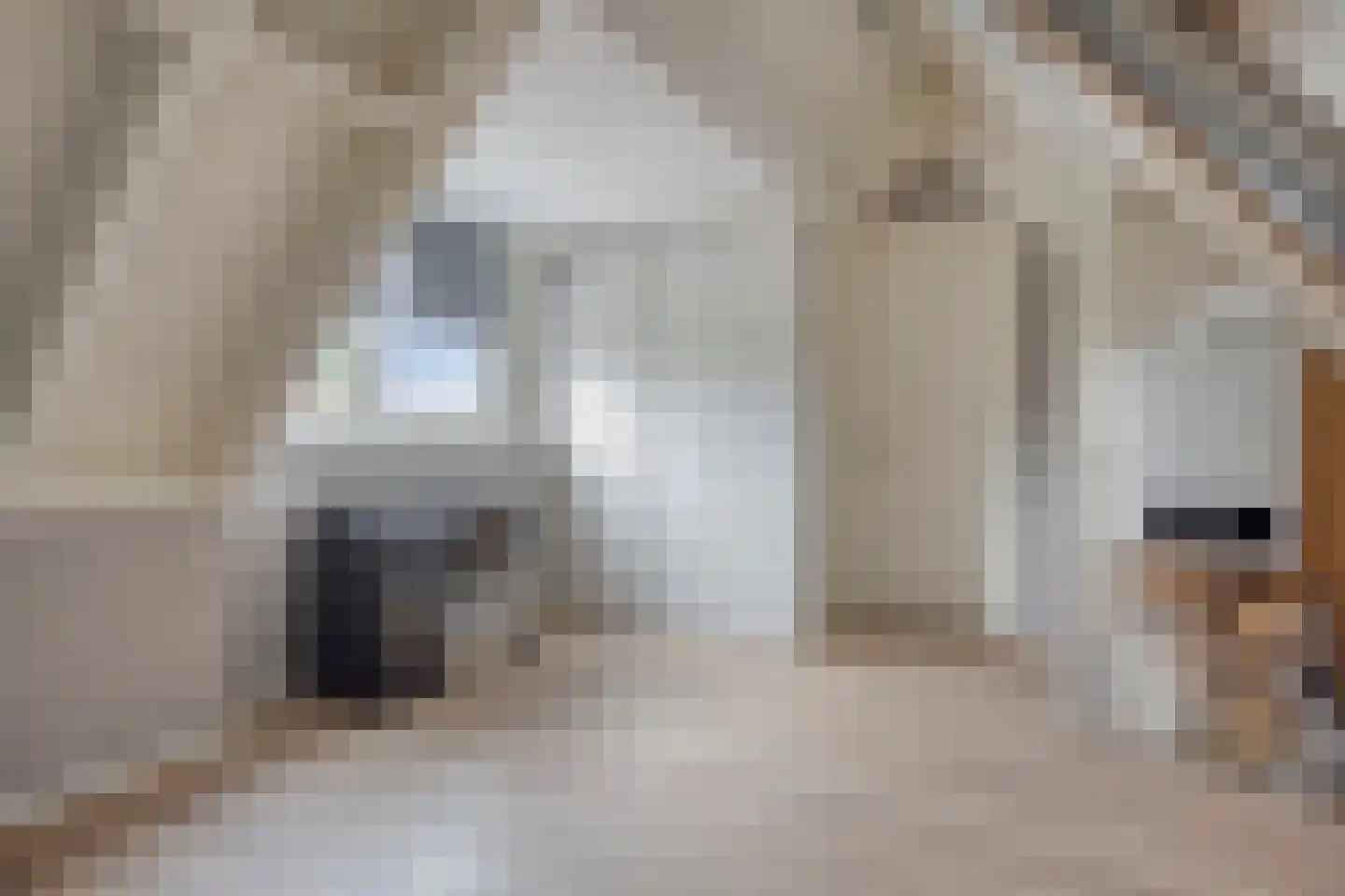 Oosteinde 35 Scherpenzeel thumbnail 33