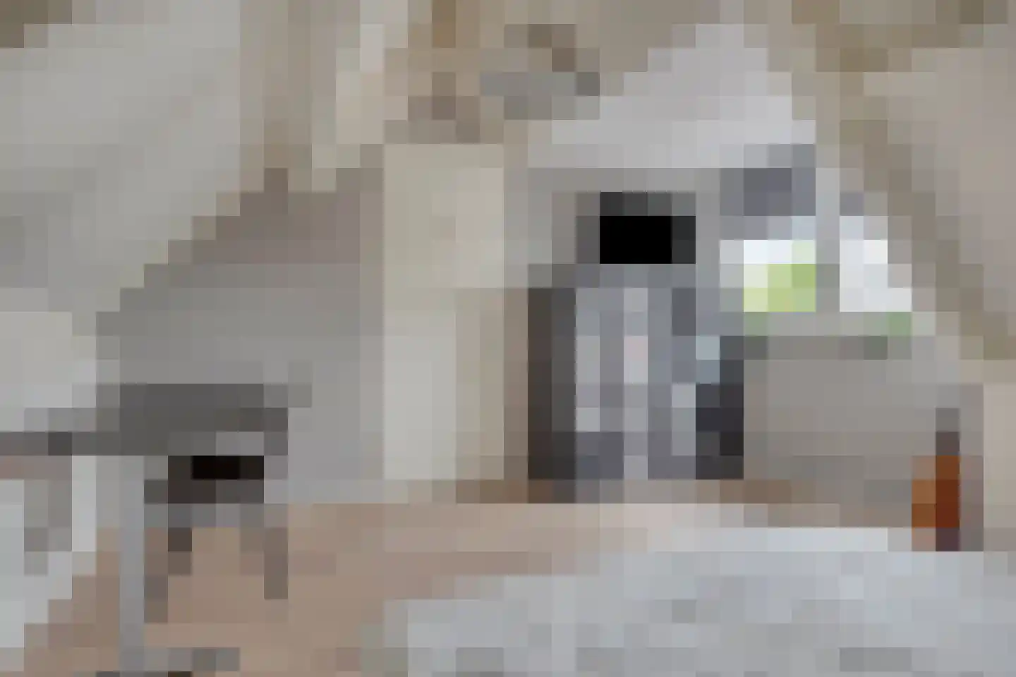 Oosteinde 35 Scherpenzeel thumbnail 35