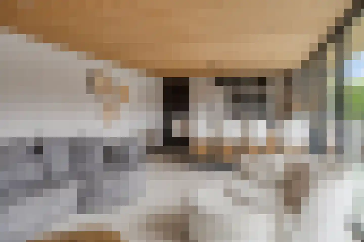 Oosteinde 35 Scherpenzeel thumbnail 50