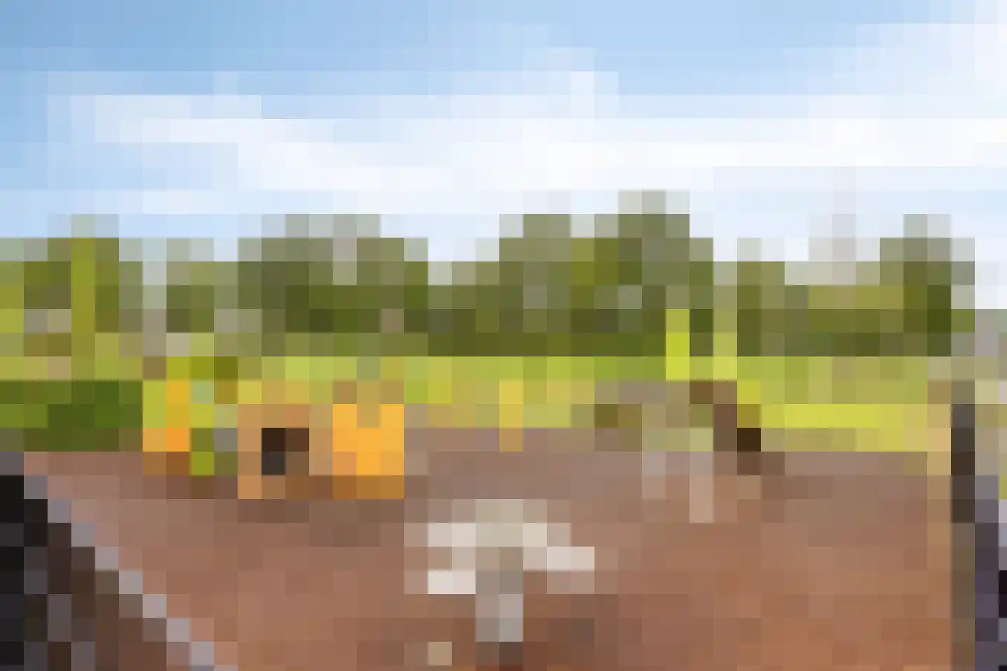 Oosteinde 35 Scherpenzeel thumbnail 60