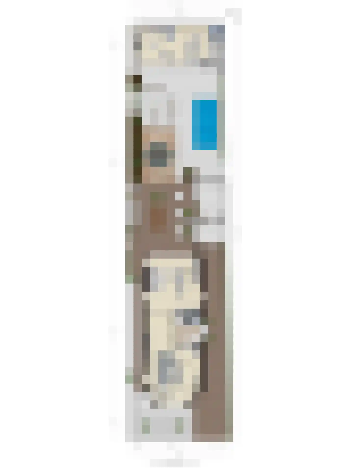 Oosteinde 35 Scherpenzeel thumbnail 64