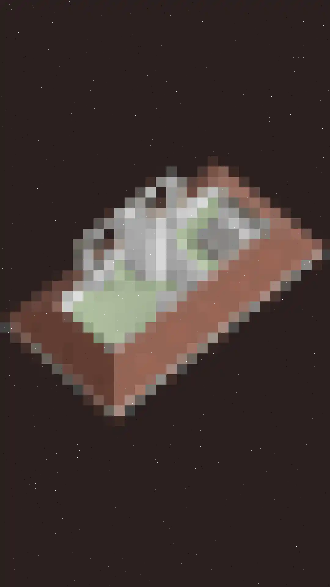 Oosteinde 35 Scherpenzeel thumbnail 70