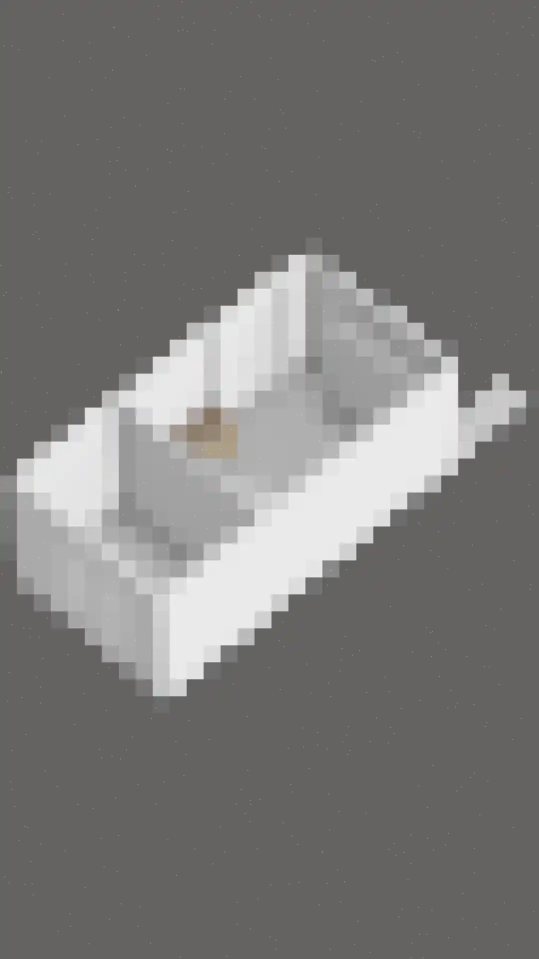 Oosteinde 35 Scherpenzeel thumbnail 73