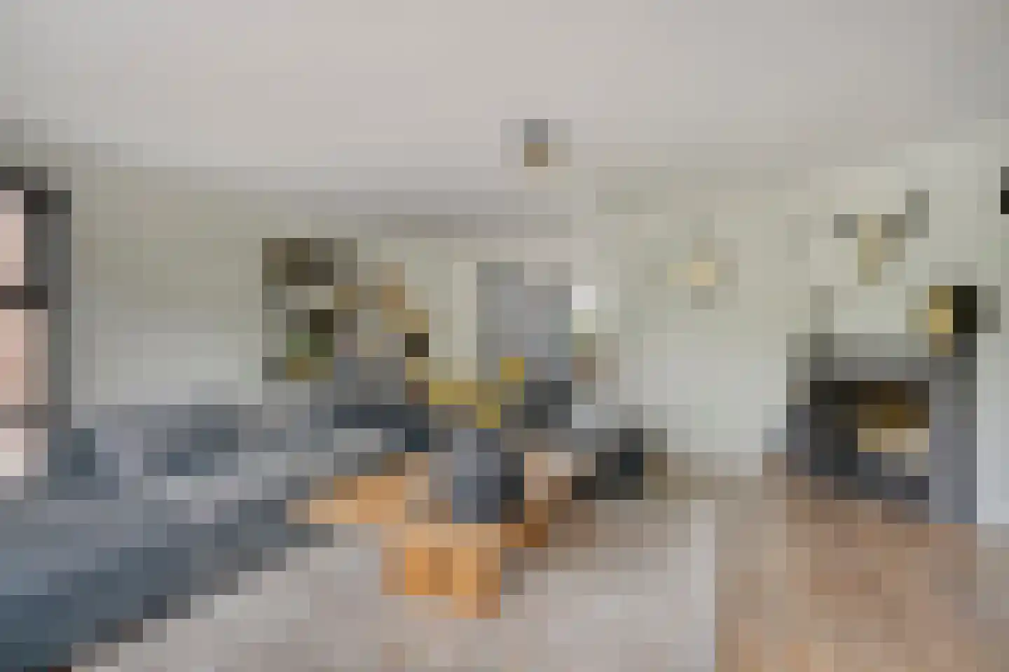 Oosteinde 35 Scherpenzeel thumbnail 8