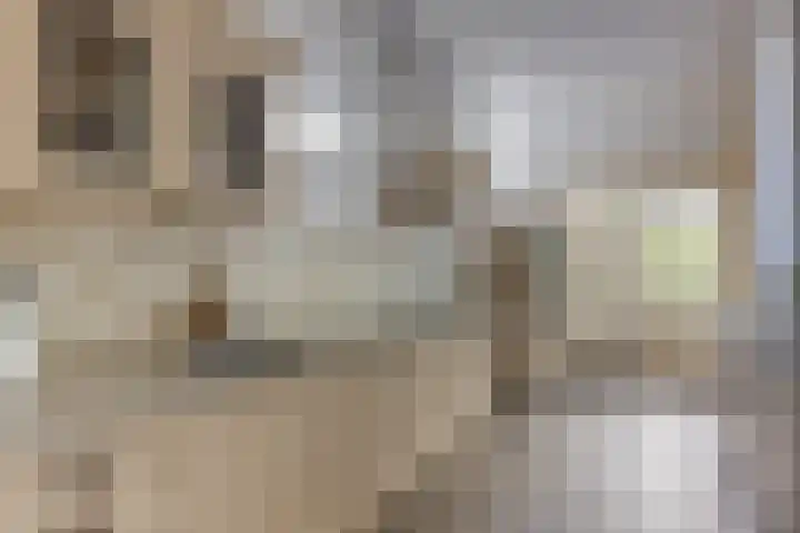 Oosteinde 357 Voorburg thumbnail 10