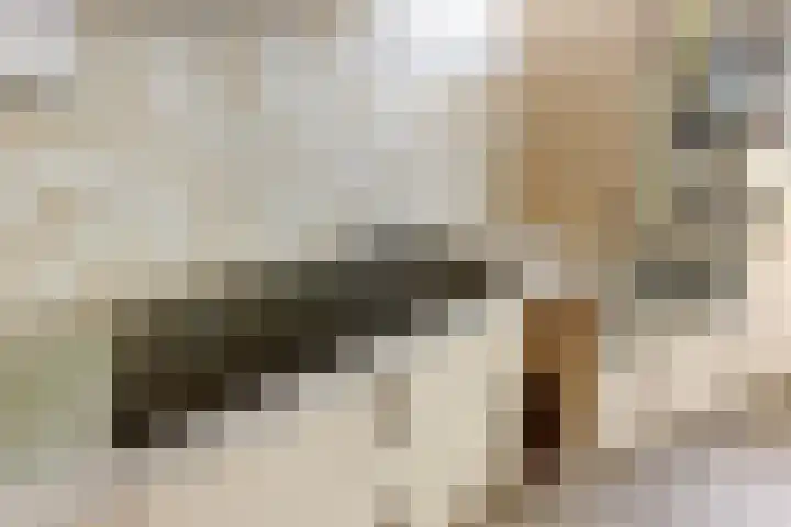 Oosteinde 357 Voorburg thumbnail 12