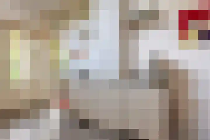 Oosteinde 357 Voorburg thumbnail 13