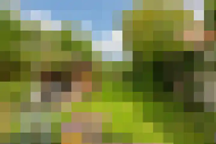 Oosteinde 357 Voorburg thumbnail 14
