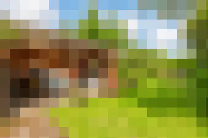 Oosteinde 357 Voorburg thumbnail 15