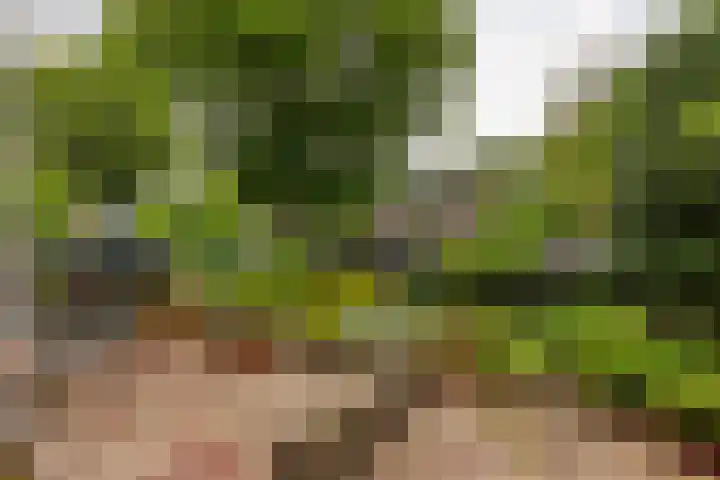 Oosteinde 357 Voorburg thumbnail 34