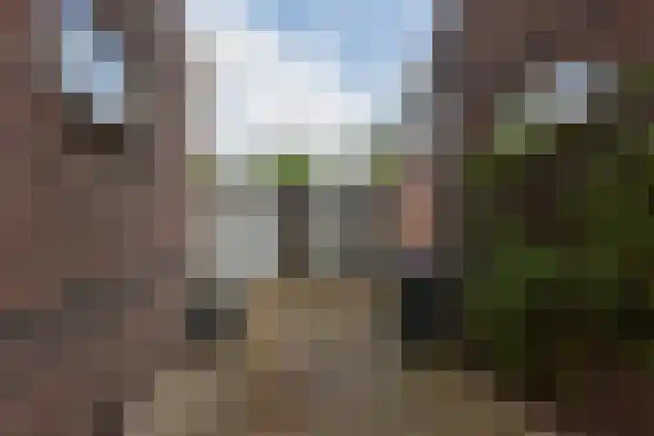 Oosteinde 357 Voorburg thumbnail 35
