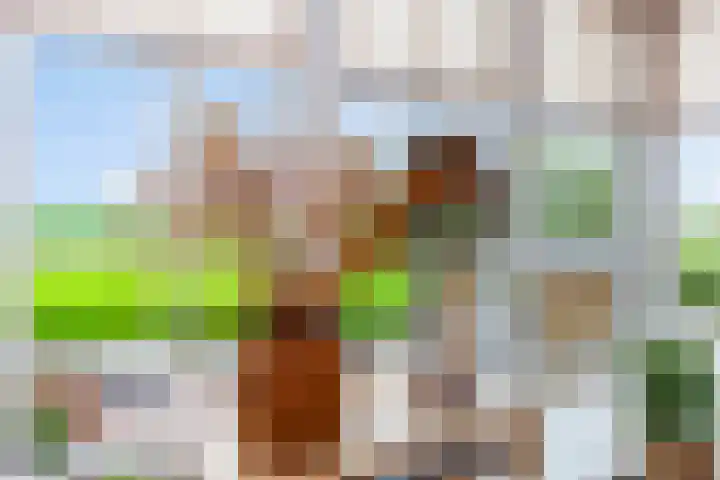 Oosteinde 37 a Oud-Alblas thumbnail 23