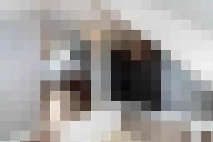 Oosteinde 37 a Oud-Alblas thumbnail 44