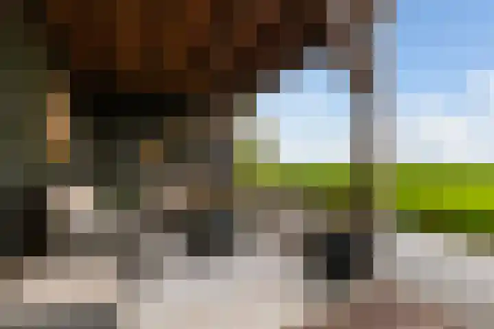 Oosteinde 37 a Oud-Alblas thumbnail 64