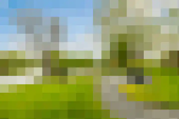 Oosteinde 37 a Oud-Alblas thumbnail 70