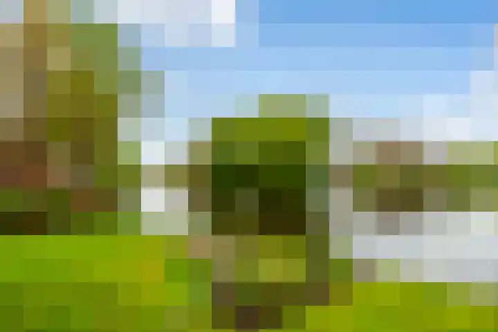 Oosteinde 37 a Oud-Alblas thumbnail 71