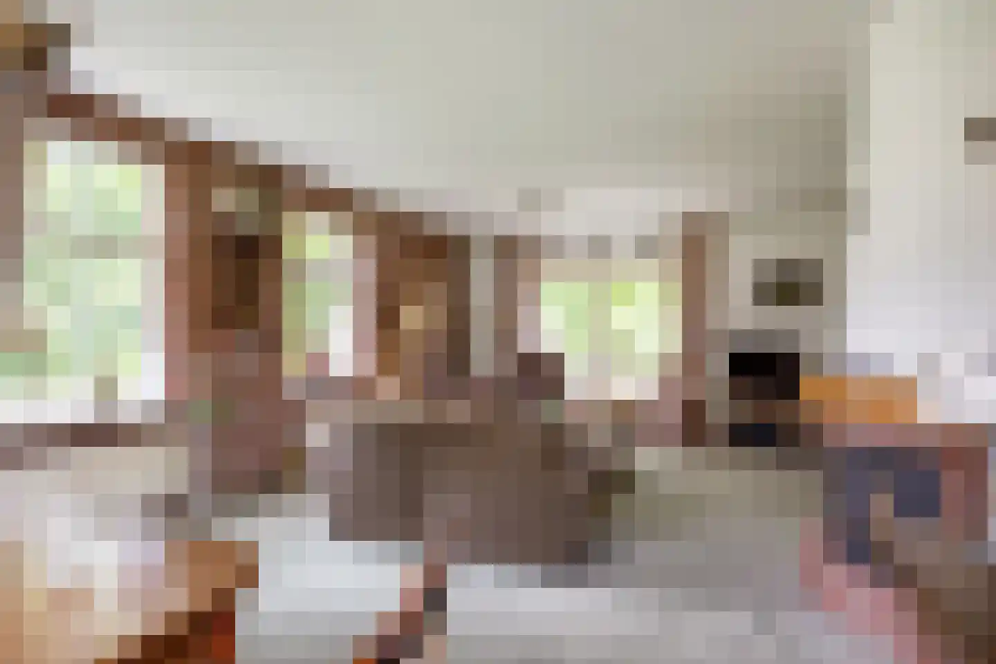 Oosteinde 37 Blijham thumbnail 18