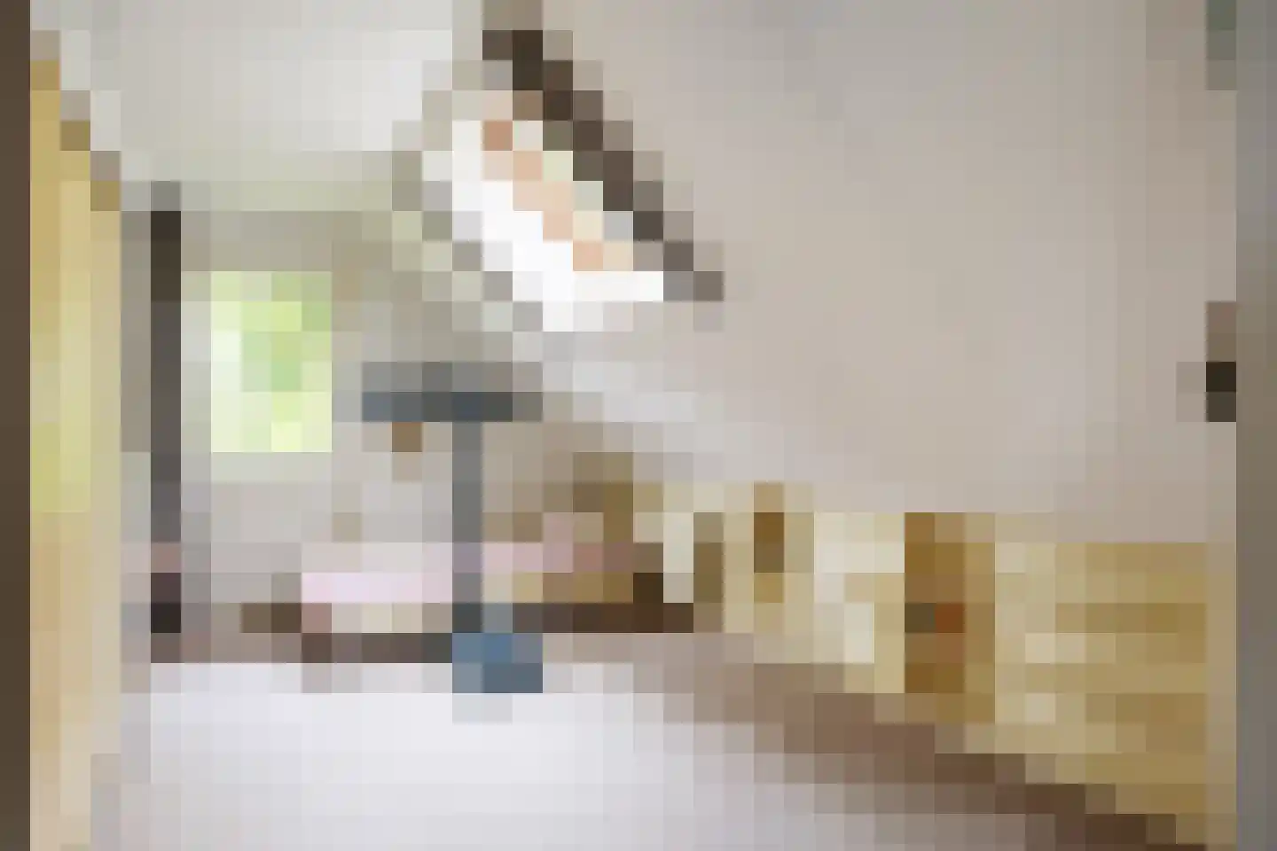Oosteinde 37 Blijham thumbnail 34