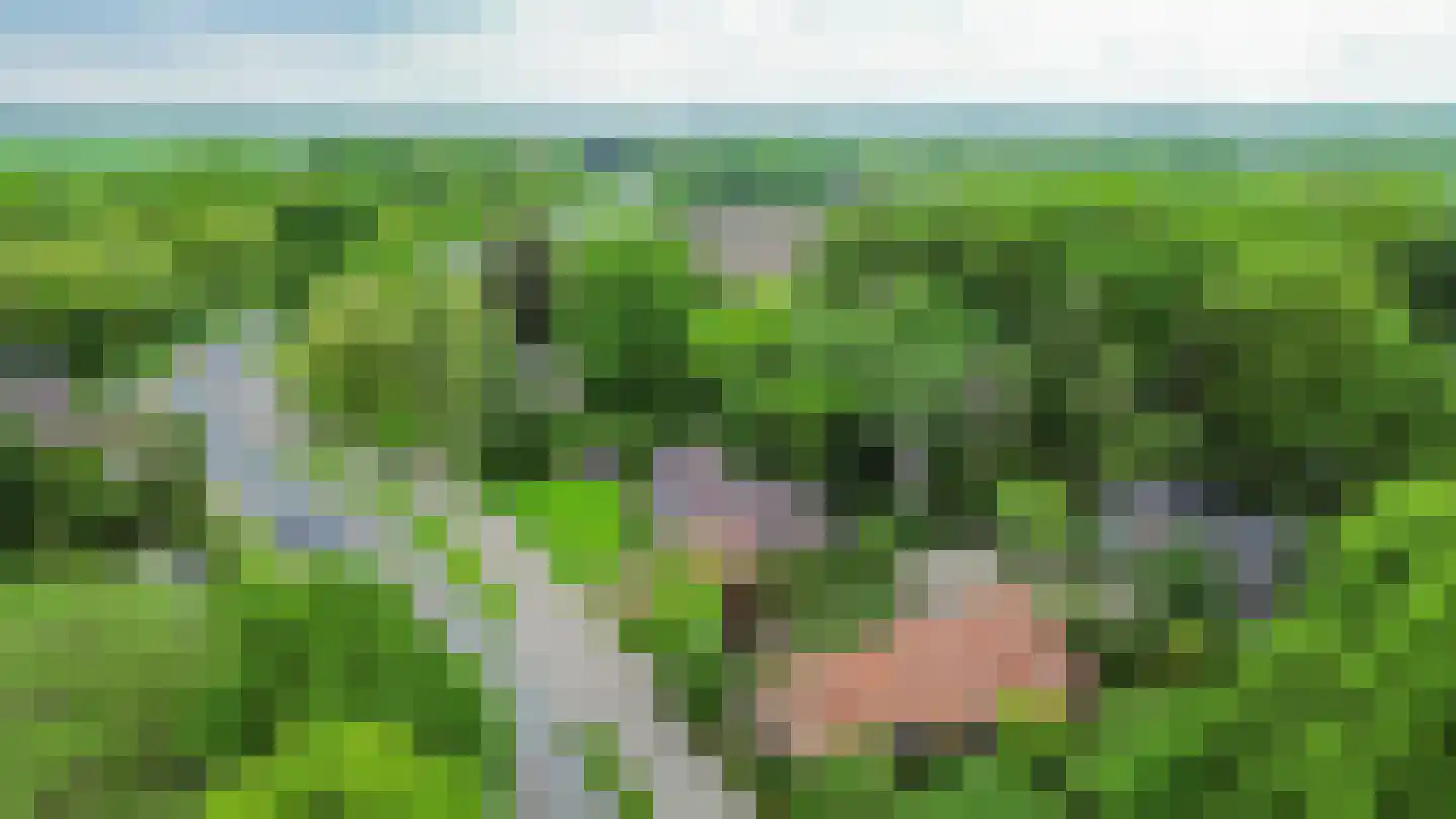 Oosteinde 37 Blijham thumbnail 38