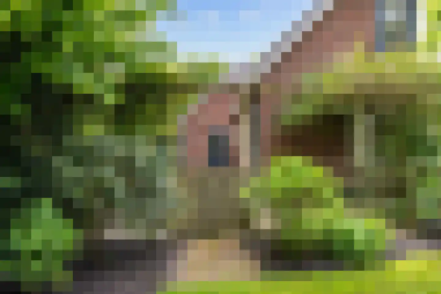 Oosteinde 37 Blijham thumbnail 44