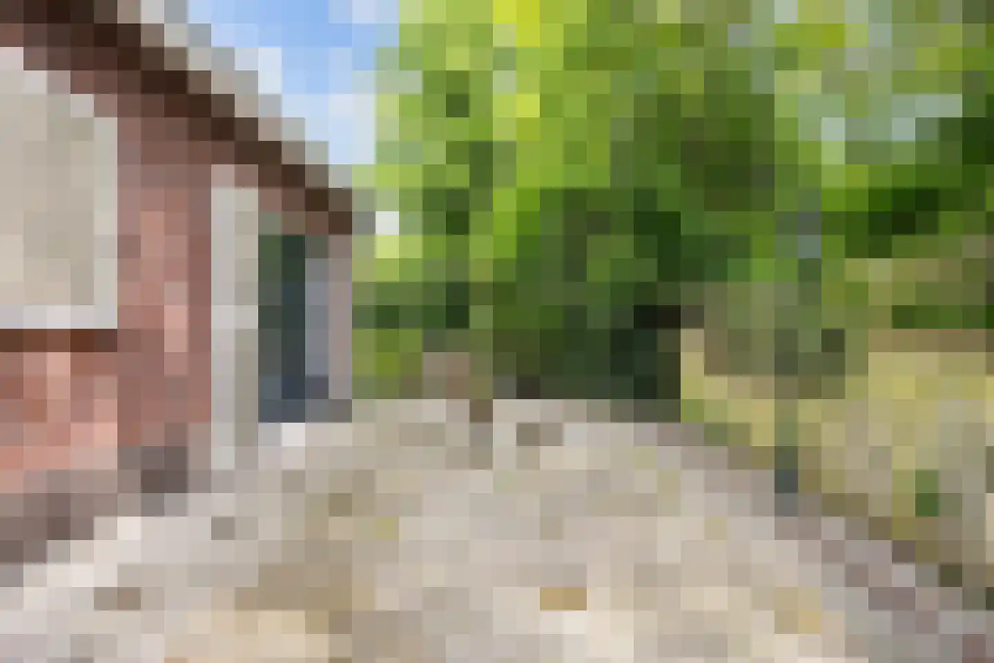 Oosteinde 37 Blijham thumbnail 45