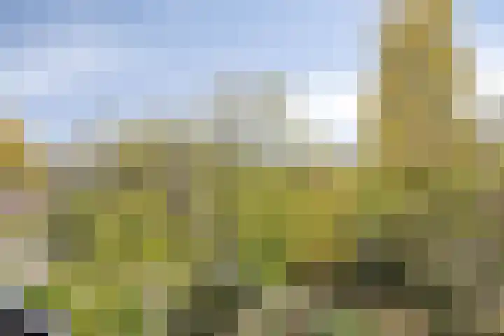 Oosteinde 38 A Rotterdam thumbnail 27