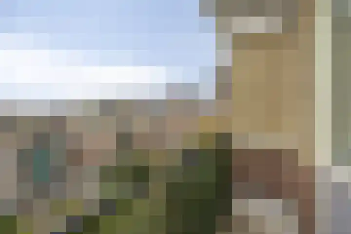 Oosteinde 38 A Rotterdam thumbnail 29